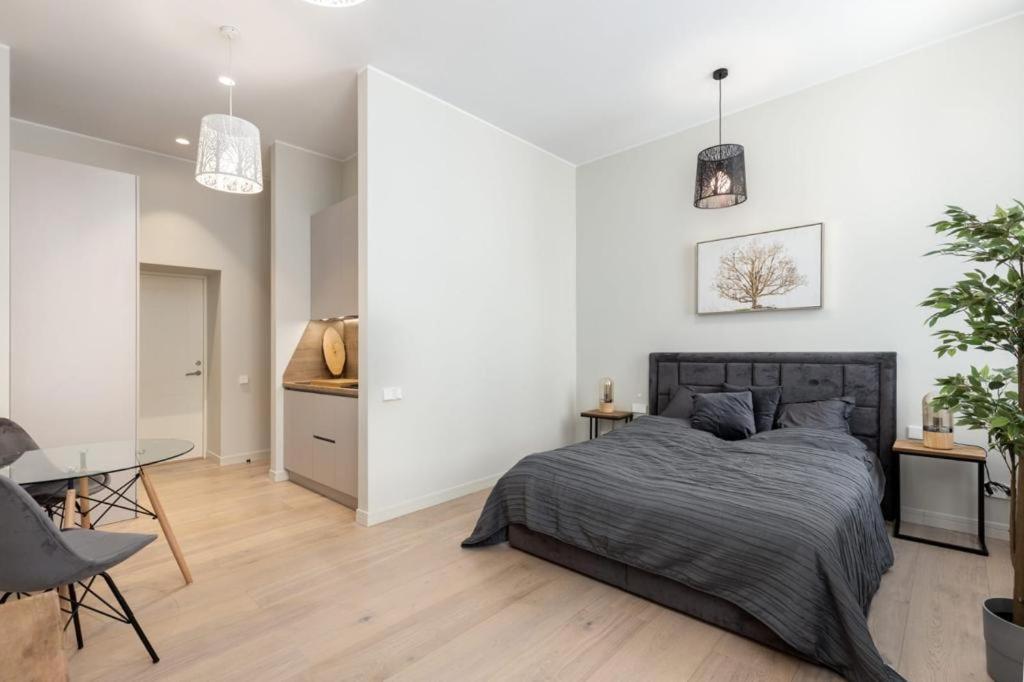 Kalnina Street Studio Apartment ريغا المظهر الخارجي الصورة