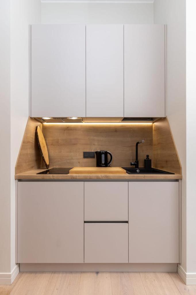 Kalnina Street Studio Apartment ريغا المظهر الخارجي الصورة