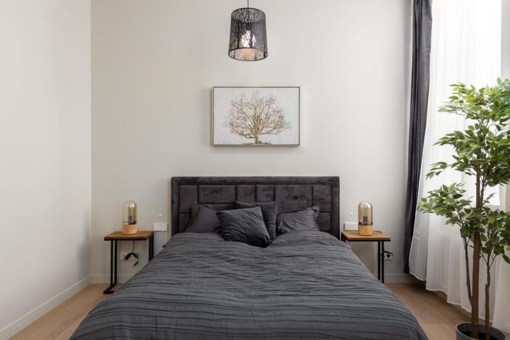 Kalnina Street Studio Apartment ريغا المظهر الخارجي الصورة