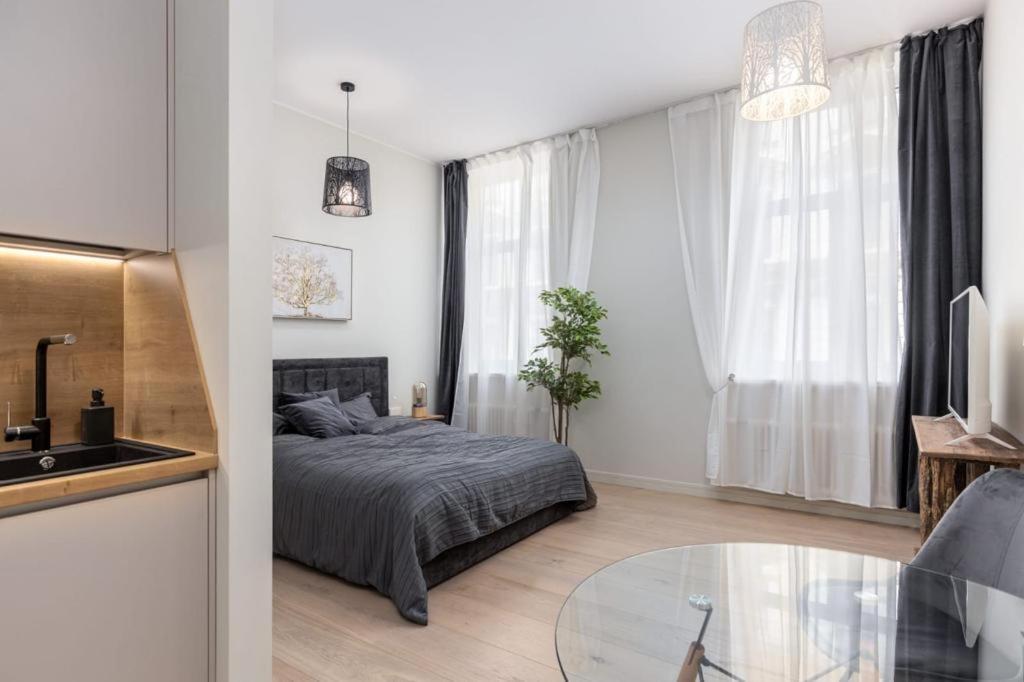 Kalnina Street Studio Apartment ريغا المظهر الخارجي الصورة