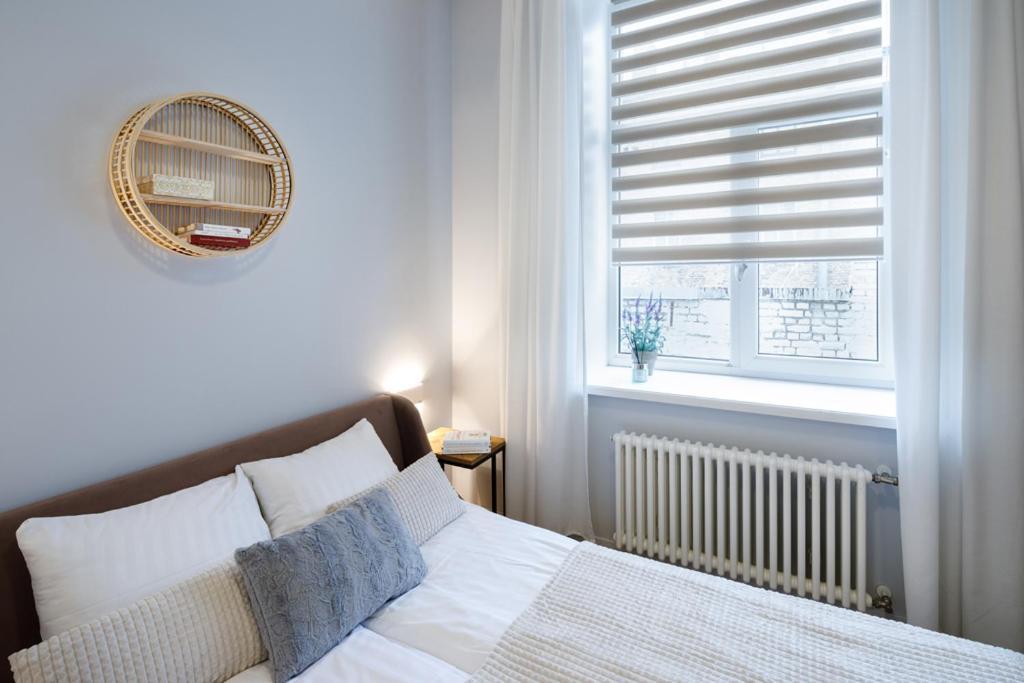 Kalnina Street Studio Apartment ريغا المظهر الخارجي الصورة