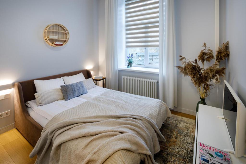 Kalnina Street Studio Apartment ريغا المظهر الخارجي الصورة