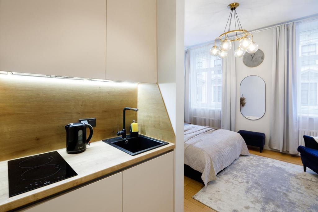 Kalnina Street Studio Apartment ريغا المظهر الخارجي الصورة